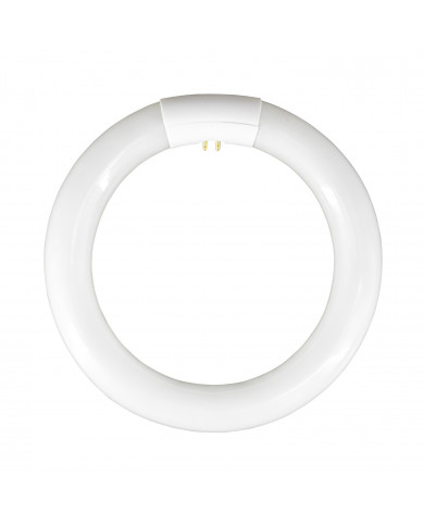 TUBO FLUORESCENTE T9 CIRCULAR G10Q 22W 1300LM 6400K 8000H 7hSevenOn CJ.1
