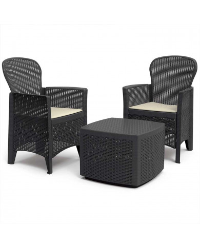 CONJUNTO INTERIOR/EXTERIOR 2 BUTACAS 1 MESITA MODELO TREE CON CONJINES ANTRACITA 60x50x93 Peso 14,3Kg