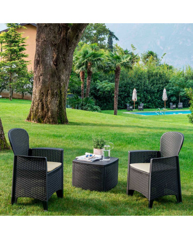 CONJUNTO INTERIOR/EXTERIOR 2 BUTACAS 1 MESITA MODELO TREE CON CONJINES ANTRACITA 60x50x93 Peso 14,3Kg